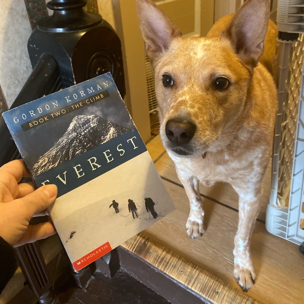 🧚‍♀️ [Add On Eligible] Everest by Gordon Korman book two The Climb